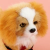 An electronic plush toy with a light and a golden thread dog that can chirp and walk, a realistic plush toy for children, an electronic pet, and a cute gift for children Item Picture